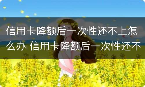 信用卡降额后一次性还不上怎么办 信用卡降额后一次性还不上怎么办呢
