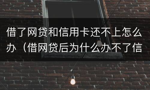 借了网贷和信用卡还不上怎么办（借网贷后为什么办不了信用卡）