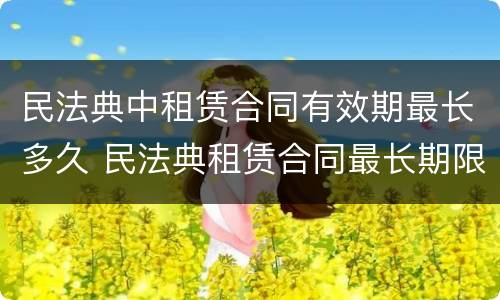 民法典中租赁合同有效期最长多久 民法典租赁合同最长期限