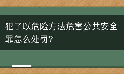 犯了以危险方法危害公共安全罪怎么处罚?