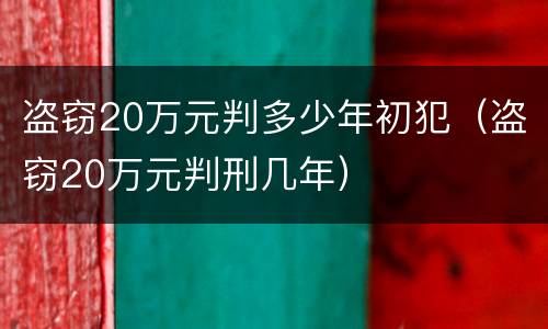 盗窃20万元判多少年初犯（盗窃20万元判刑几年）