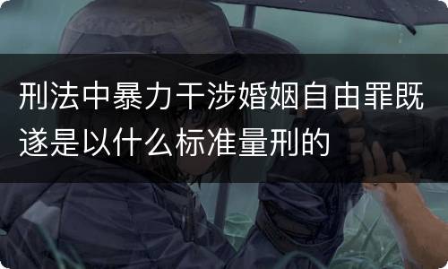 刑法中暴力干涉婚姻自由罪既遂是以什么标准量刑的