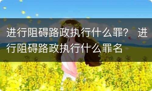 进行阻碍路政执行什么罪？ 进行阻碍路政执行什么罪名