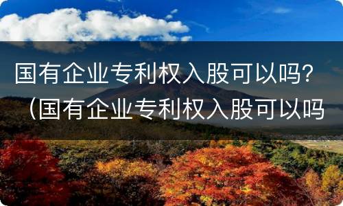 国有企业专利权入股可以吗？（国有企业专利权入股可以吗知乎）
