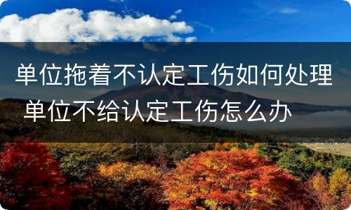 单位拖着不认定工伤如何处理 单位不给认定工伤怎么办
