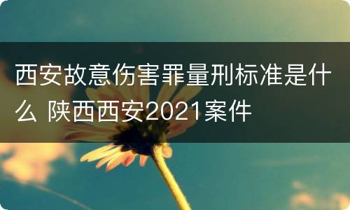 西安故意伤害罪量刑标准是什么 陕西西安2021案件