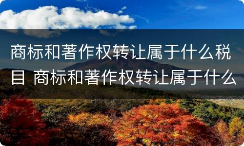 商标和著作权转让属于什么税目 商标和著作权转让属于什么税目类别