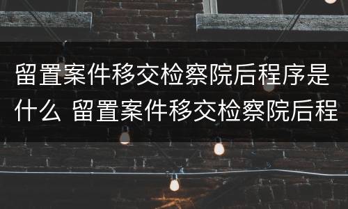 留置案件移交检察院后程序是什么 留置案件移交检察院后程序是什么意思
