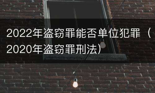 2022年盗窃罪能否单位犯罪（2020年盗窃罪刑法）