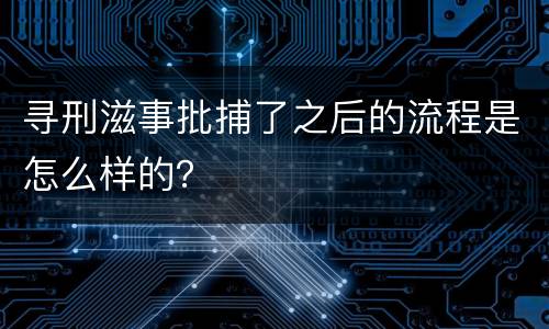 寻刑滋事批捕了之后的流程是怎么样的？