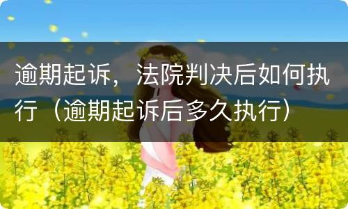 逾期起诉，法院判决后如何执行（逾期起诉后多久执行）