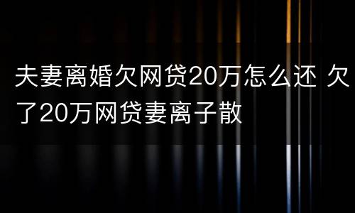 夫妻离婚欠网贷20万怎么还 欠了20万网贷妻离子散
