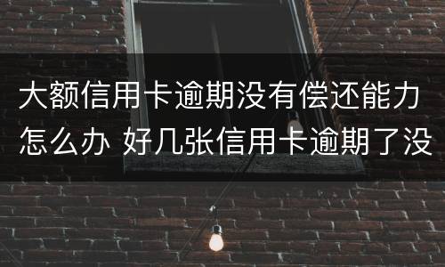 大额信用卡逾期没有偿还能力怎么办 好几张信用卡逾期了没能力还款怎么办