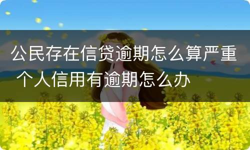 公民存在信贷逾期怎么算严重 个人信用有逾期怎么办