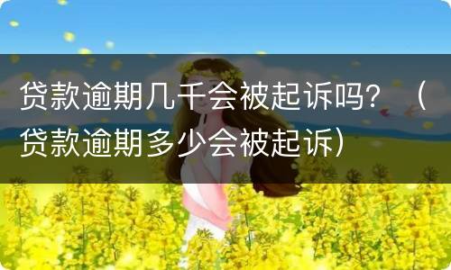 贷款逾期几千会被起诉吗？（贷款逾期多少会被起诉）