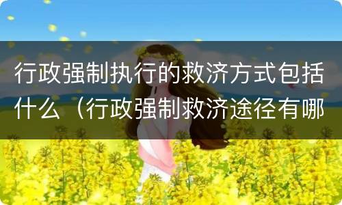 行政强制执行的救济方式包括什么（行政强制救济途径有哪些）