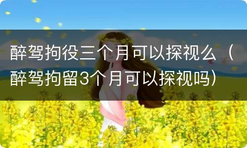 醉驾拘役三个月可以探视么（醉驾拘留3个月可以探视吗）