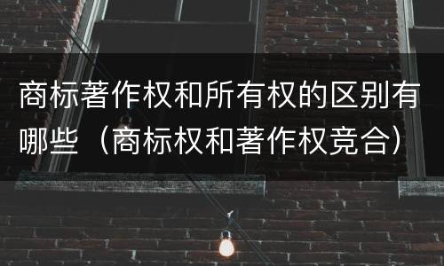 商标著作权和所有权的区别有哪些（商标权和著作权竞合）