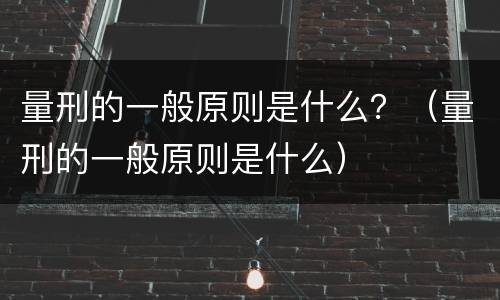 量刑的一般原则是什么？（量刑的一般原则是什么）