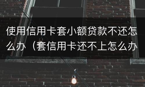 使用信用卡套小额贷款不还怎么办（套信用卡还不上怎么办）