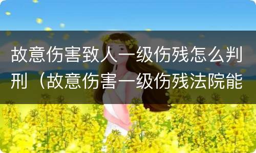 故意伤害致人一级伤残怎么判刑（故意伤害一级伤残法院能判多久）