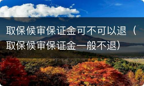 取保候审保证金可不可以退（取保候审保证金一般不退）