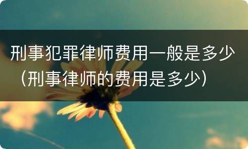 刑事犯罪律师费用一般是多少（刑事律师的费用是多少）
