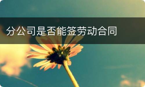 分公司是否能签劳动合同