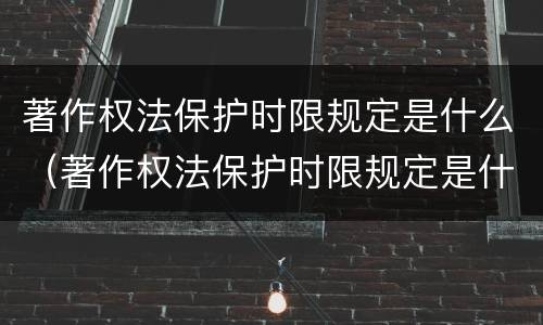 著作权法保护时限规定是什么（著作权法保护时限规定是什么意思）