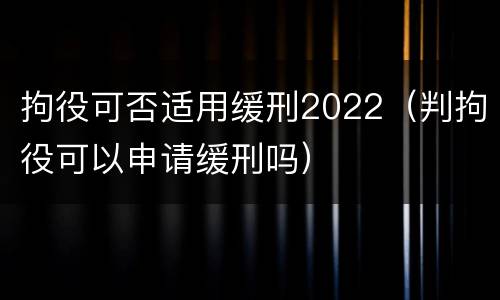拘役可否适用缓刑2022（判拘役可以申请缓刑吗）
