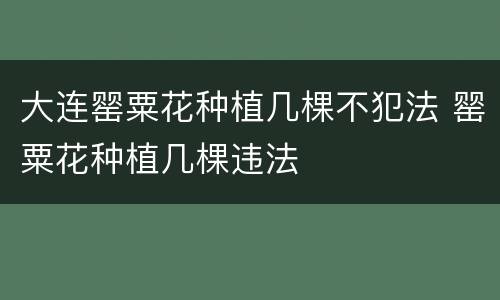 大连罂粟花种植几棵不犯法 罂粟花种植几棵违法