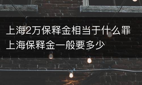 上海2万保释金相当于什么罪 上海保释金一般要多少
