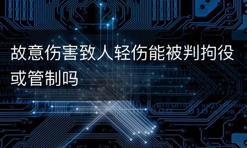 故意伤害致人轻伤能被判拘役或管制吗
