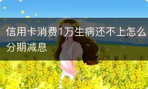 信用卡消费1万生病还不上怎么分期减息