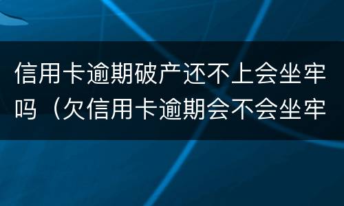 信用卡逾期破产还不上会坐牢吗（欠信用卡逾期会不会坐牢）