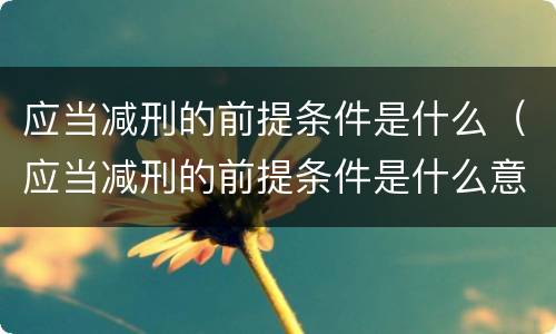 应当减刑的前提条件是什么（应当减刑的前提条件是什么意思）