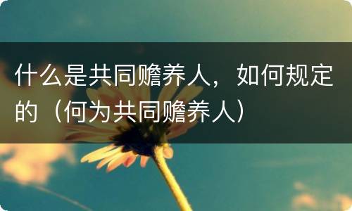 什么是共同赡养人，如何规定的（何为共同赡养人）