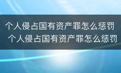个人侵占国有资产罪怎么惩罚 个人侵占国有资产罪怎么惩罚的