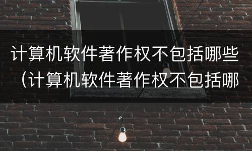 计算机软件著作权不包括哪些（计算机软件著作权不包括哪些）