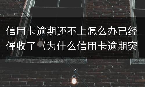 信用卡逾期还不上怎么办已经催收了（为什么信用卡逾期突然不催了）