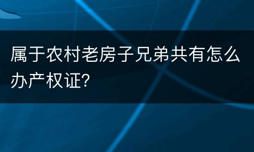 属于农村老房子兄弟共有怎么办产权证？