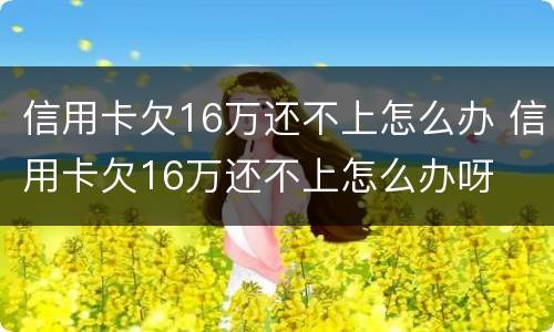 信用卡欠16万还不上怎么办 信用卡欠16万还不上怎么办呀