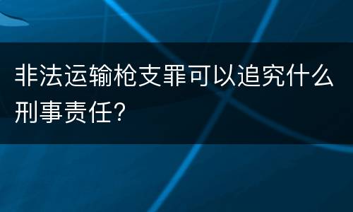 非法运输枪支罪可以追究什么刑事责任?
