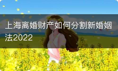 上海离婚财产如何分割新婚姻法2022