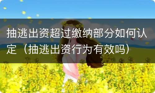 抽逃出资超过缴纳部分如何认定（抽逃出资行为有效吗）