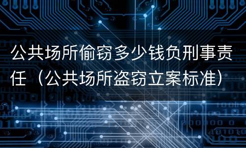 公共场所偷窃多少钱负刑事责任（公共场所盗窃立案标准）