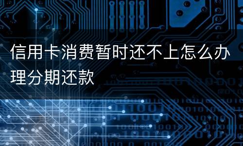 信用卡消费暂时还不上怎么办理分期还款