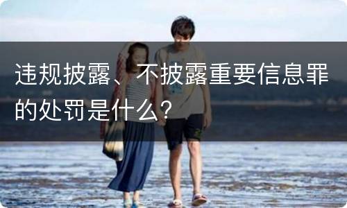 违规披露、不披露重要信息罪的处罚是什么?