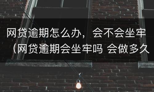 网贷逾期怎么办，会不会坐牢（网贷逾期会坐牢吗 会做多久）