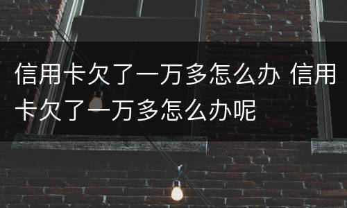 信用卡欠了一万多怎么办 信用卡欠了一万多怎么办呢